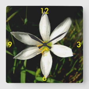 White Beauty Clocks