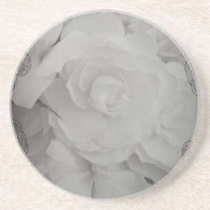 White Begonia Coaster