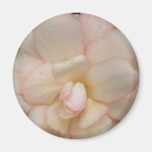 White Begonia Flower Magnet
