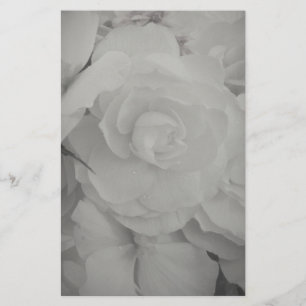 White Begonia Stationery