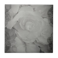 White Begonia