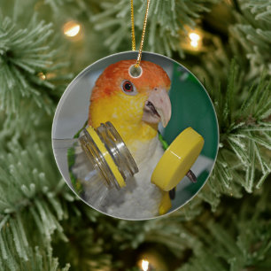 White Bellied Caique Parrot Playing Ceramic Ornament