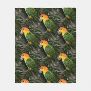 White Bellied Caique Parrot with Bamboo Tree Fleece Blanket