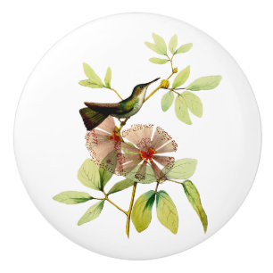 White Bellied Emerald Hummingbird Ceramic Knob