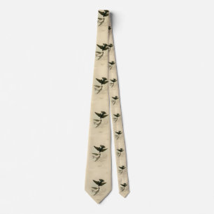 White-bellied (Tree) Swallow - Audubon's Birds Tie
