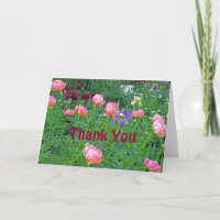 WHITE BENCH IN PEONY GARDEN/"THANK YOU"