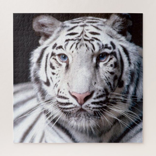 White Bengal Tiger Face Photo Image Jigsaw Puzzle (Vertical)