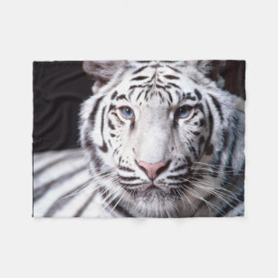 White Bengal Tiger Image Fleece Blanket