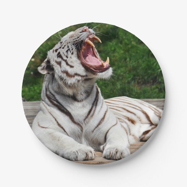 White Bengal Tiger Paper Plate (Front)