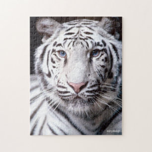 White Bengal Tiger Photo Image Jigsaw Puzzle