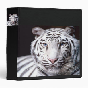 White Bengal Tiger Photography Binder