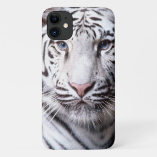 White Bengal Tiger Photography Case-Mate iPhone Case