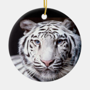 White Bengal Tiger Photography Ceramic Ornament
