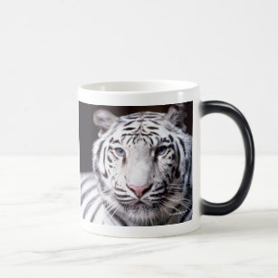 White Bengal Tiger Photography Magic Mug