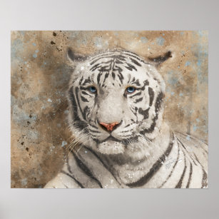 White Bengal Tiger Photography Modern Watercolor Poster