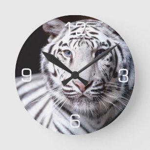 White Bengal Tiger Photography Round Clock