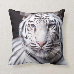 White Bengal Tiger Photography Throw Pillow