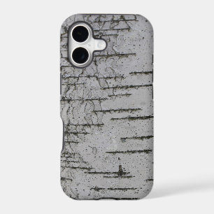 White Birch Bark