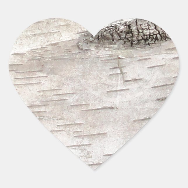 White Birch Bark Heart Sticker (Front)