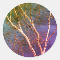 White Birch Tree Blue Sky Nature Art
