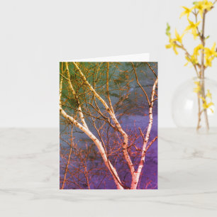 White Birch Tree Blue Sky Nature Art Note Card