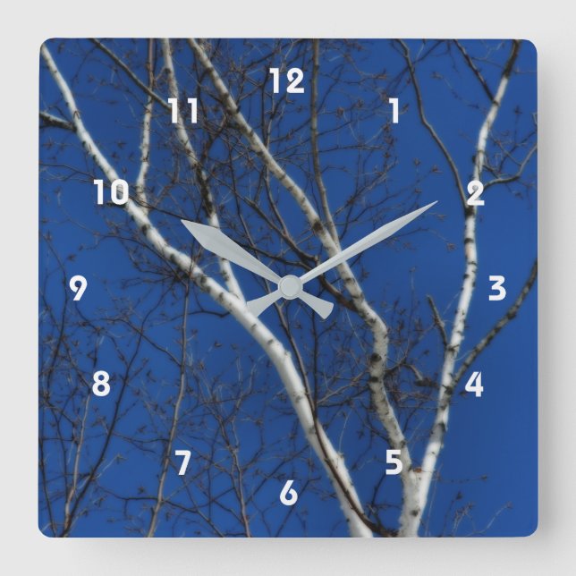 White Birch Tree Blue Sky Nature Orton Effect  Square Wall Clock (Front)