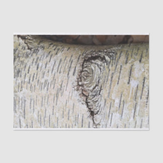 White Birch Tree Tissue Paper