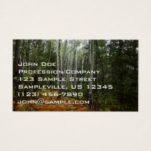 White Birch Trees and Fall Ferns at Rocky Mountain