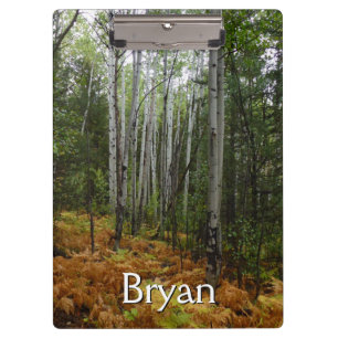 White Birch Trees and Fall Ferns at Rocky Mountain Clipboard
