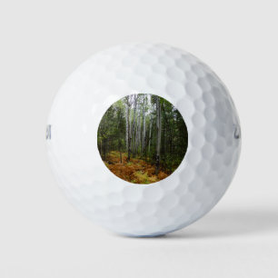 White Birch Trees and Fall Ferns at Rocky Mountain Golf Balls