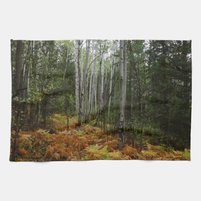 White Birch Trees and Fall Ferns at Rocky Mountain Kitchen Towel (Horizontal)