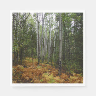 White Birch Trees and Fall Ferns at Rocky Mountain Napkin
