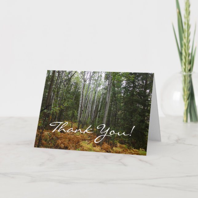 White Birch Trees and Fall Ferns at Rocky Mountain Thank You Card (Front)