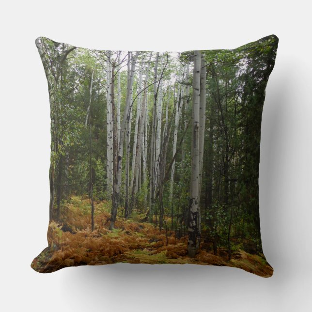White Birch Trees and Fall Ferns at Rocky Mountain Throw Pillow (Front)