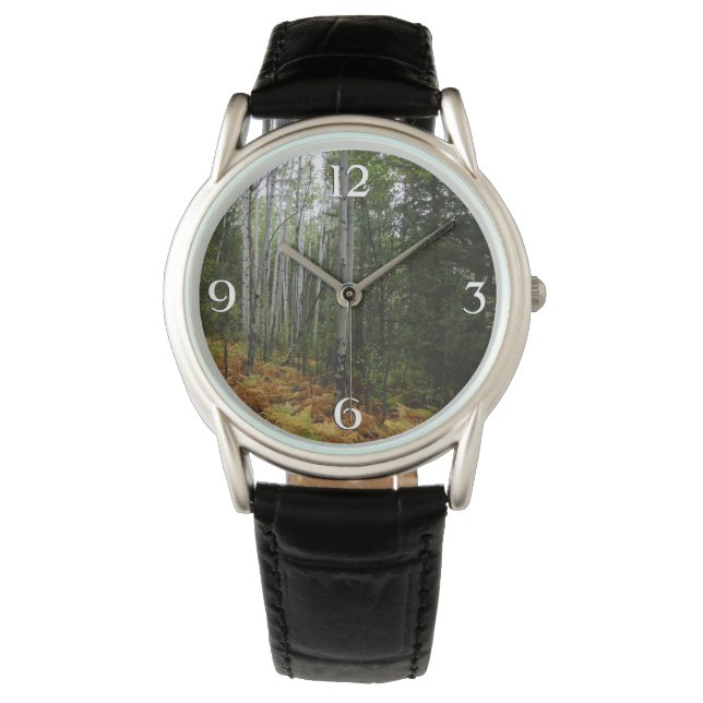 White Birch Trees and Fall Ferns at Rocky Mountain Watch (Front)