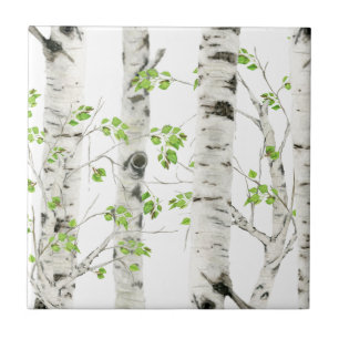 White Birch Trees Decorative Ceramic Tile