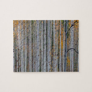 White Birch Trees Forest Country Nature Jigsaw Puzzle