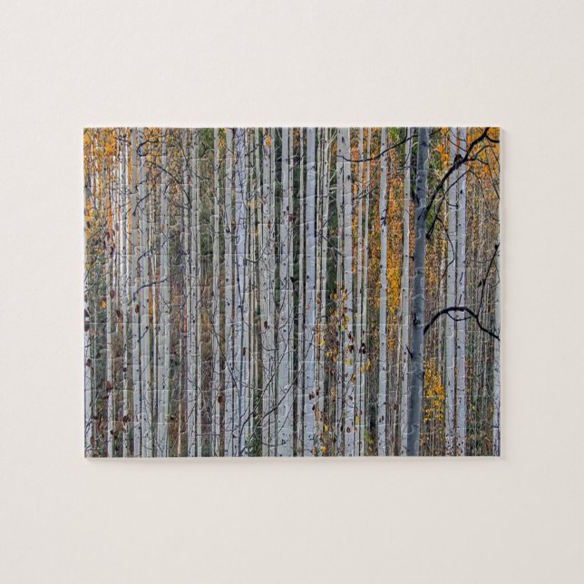 White Birch Trees Forest Country Nature Jigsaw Puzzle (Horizontal)
