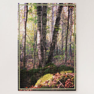 White birch trees jigsaw puzzle