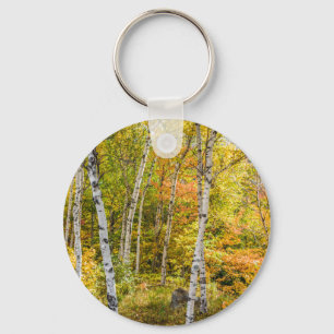 White Birches in Autumn Button Keychain