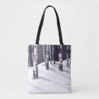 White Birches in Winter