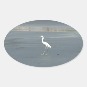 White Bird on Grey Sand Beach Art Print Oval Sticker