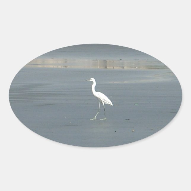 White Bird on Grey Sand Beach Art Print Oval Sticker (Front)