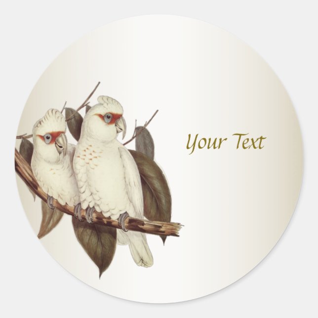 White Birds Classic Round Sticker (Front)
