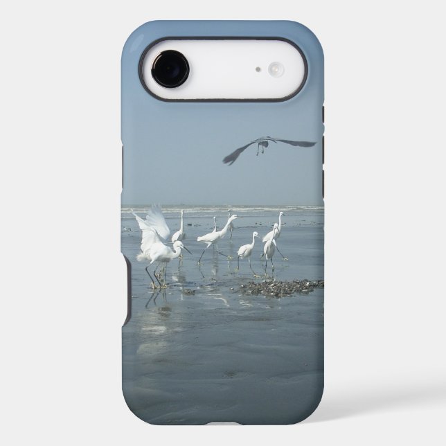 White birds featehres hakuna matata.JPG (Back)