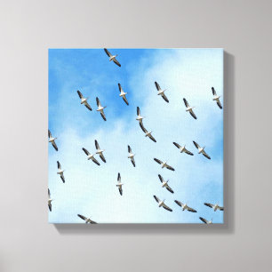 White Birds in Flight Canvas Print