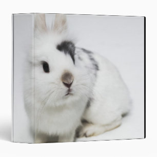 White, black and brown rabbit binder