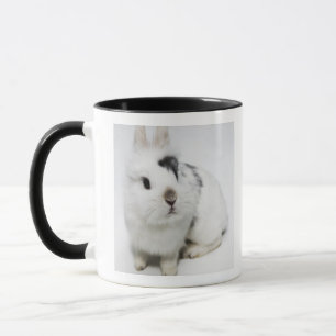 White, black and brown rabbit mug