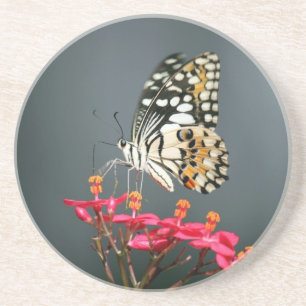 White Black and Yellow Butterfly on Pink Flowers Coaster