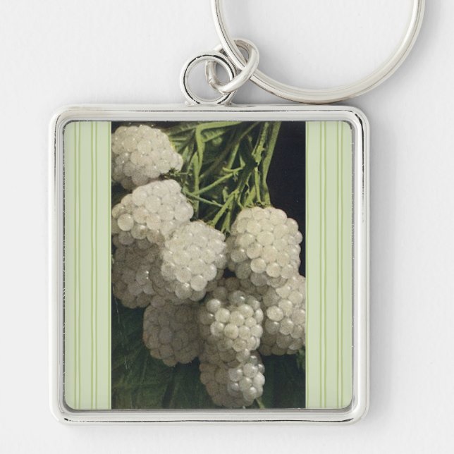 White Blackberry Keychain (Front)